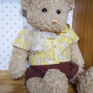 15-17 inch bear or baby doll shirt and shorts