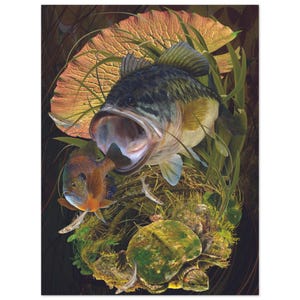 Bass and Bluegill