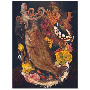 Scamp Grouper