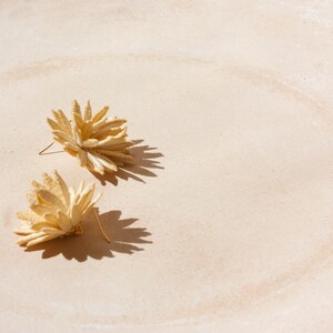 Puede incluir: Dos pendientes de flores beige secas con un dise&ntilde;o de p&eacute;talos puntiagudos se muestran sobre una superficie beige claro. Los pendientes proyectan sombras oscuras y el fondo tiene un sutil patr&oacute;n circular.