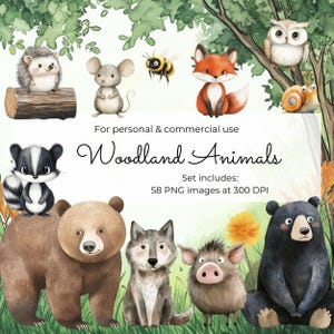 Watercolor Woodland Animals Clipart: 102 PNGs for Nursery Decor (Digital Download)