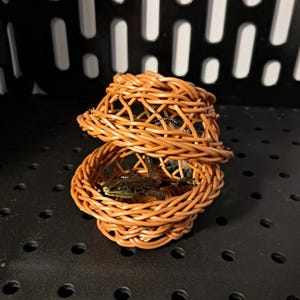 以下が含まれることがあります： 小さな茶色の籐のバスケットの中に緑色のカエルが入っています。バスケットは籐で編まれており、丸い形をしています。カエルはバスケットの中央に座っています。