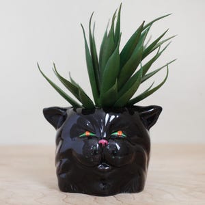 May include: Black ceramic planter shaped like a cat's face with green succulent plant inside. The cat has orange eyes and a pink nose.