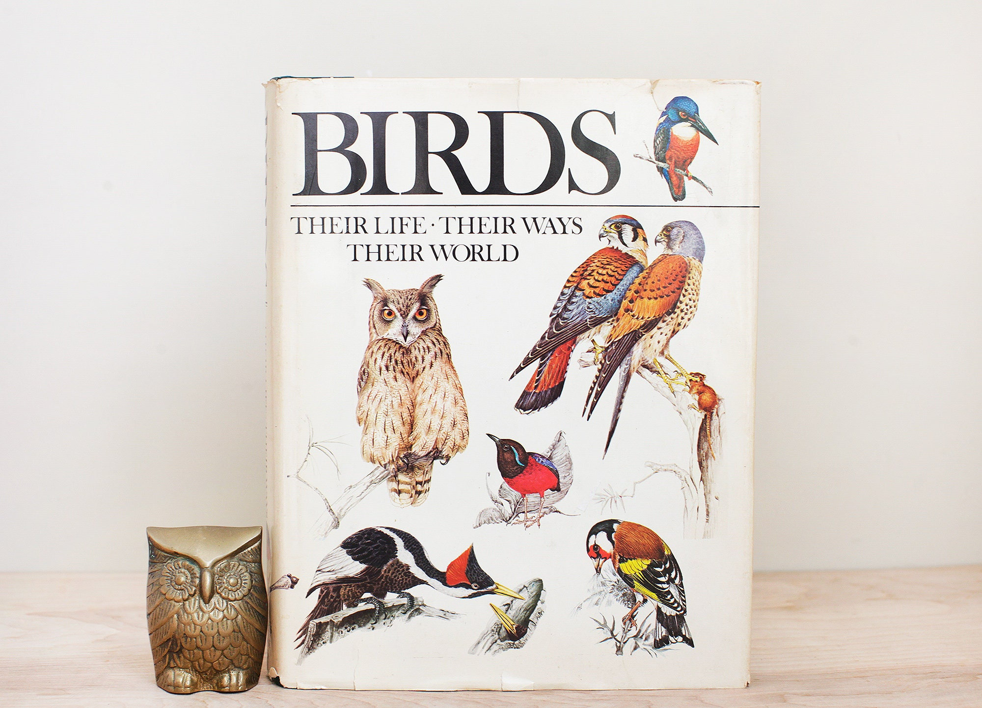 Birds Their Life Their Ways Their World /large Lovely Book W 100s