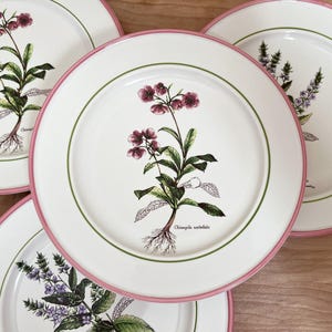 Made in Italy Dinnerware La Primula - Etsy