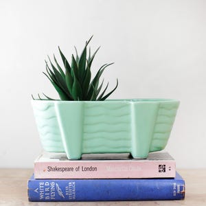 May include: A mint green rectangular planter with a wavy design, holding a green succulent. The planter sits atop a stack of books, including one titled "Shakespeare of London". The books are pink and blue.