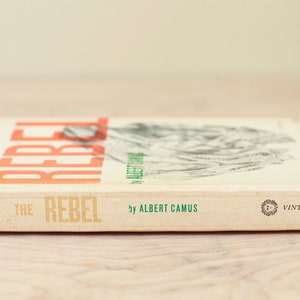 the rebel author albert the rebel author albert