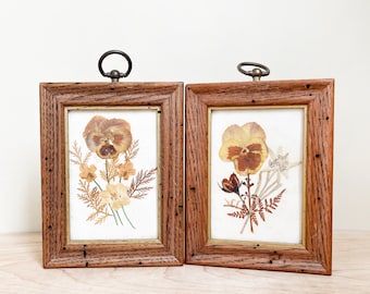 Set of 2 Pressed Flower Art w Worm Wood Frames/ Lovely Original Floral Art / Preserved Pansies & Botanical Wild Flowers Unique Frames