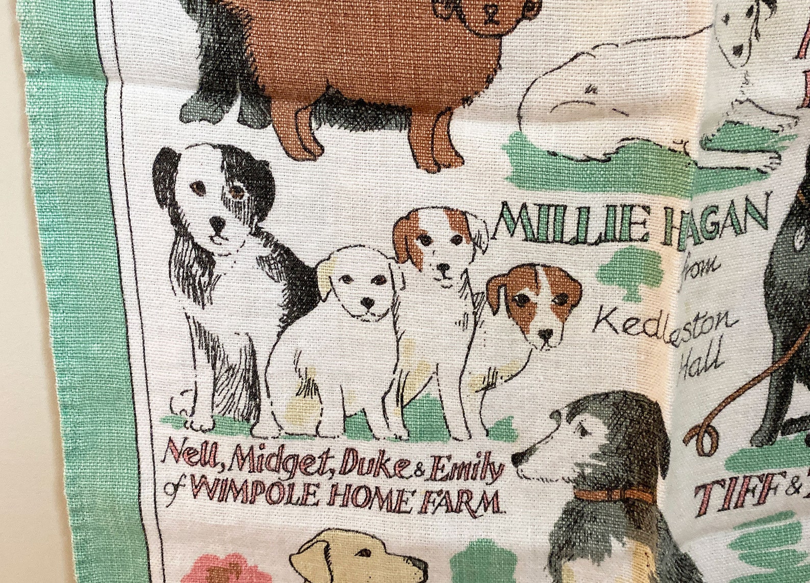 Pat Albeck National Trust Dog Tea Towel / Super Cute and Super Etsy