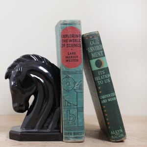 Set of 2 1930s Science Books: Exploring the World of Science & Our Environment w Cloth Covers w Fantastic Spine Designs/ Vintage Book Stack