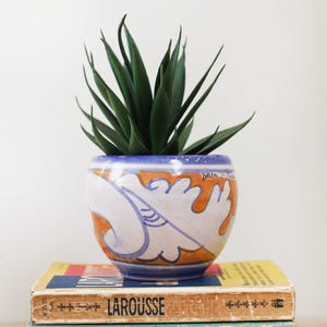 May include: A green succulent plant in a white ceramic pot with blue and orange painted designs. The pot has the text "pata la cabra" written on it. The pot is sitting on top of a book with the word "LAROUSSE" printed on the cover.