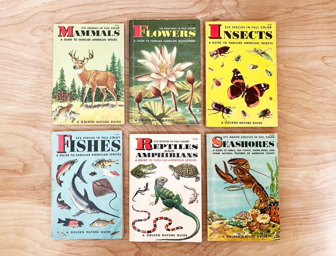 6 Golden Guide Books: Mammals Flowers Insects Fishes - Etsy