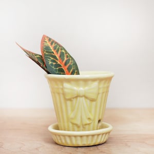May include: A pale yellow ceramic planter with a bow design and a matching saucer. The planter holds two leaves with green and orange patterns. The planter has vertical lines and a drainage hole.