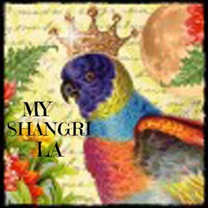 May include: A colorful parrot wearing a crown with the text "MY SHANGRI LA" on a floral background.