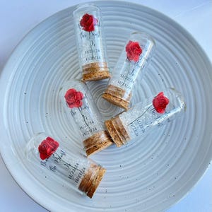 Rose Glass Dome Favors: Beauty and The Beast, Quinceañera, Sweet 16