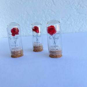 Beauty and The Beast Rose Glass Dome: Quinceañera Favors