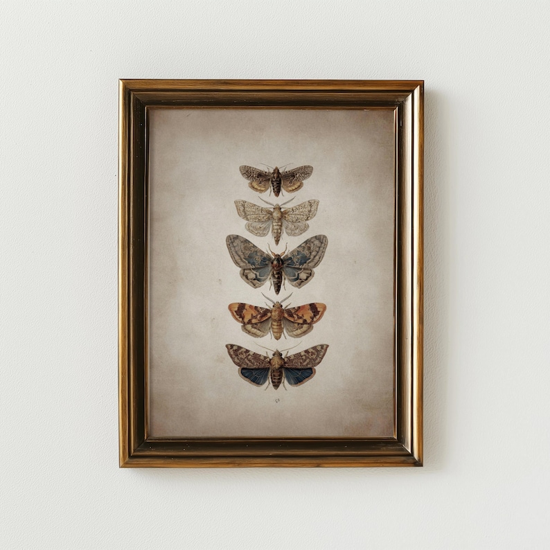 Vintage Moth Butterfly Wall Art Print, Antique Entomology Poster, Dark ...