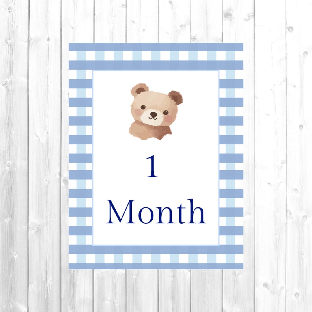 Teddy Bear Monthly Milestone Cards for Baby's First Year - Digital File ...