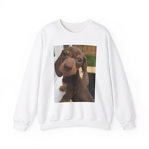 DACHSHUND DOG Breed Pet Animal SWEATSHIRT, Unisex Heavy Blend and Wiener Dog Print Doxie Crewneck Long Sleeve Sweatshirt