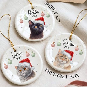 Personalized Cat Christmas Ornament Gift For Cat Mom Ornament For Cat Custom Cat Ornament Black Cat Ornament Gift For Cat Lover Cat Keepsake