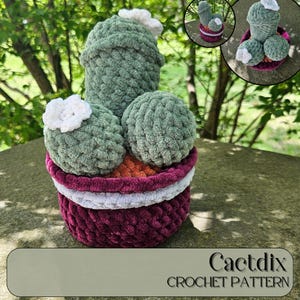 May include: A crocheted cactus plant in a burgundy pot with white and gray stripes. The cactus is made of green yarn and has white flowers. The pot is sitting on a gray stone surface.  Cactdix CROCHET PATTERN