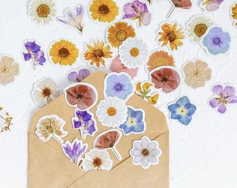 Op de afbeelding: Een verzameling bloemenstickers in diverse kleuren, waaronder geel, paars, wit en blauw, die uit een bruine envelop komen. De stickers tonen geperste bloemen en botanische ontwerpen.