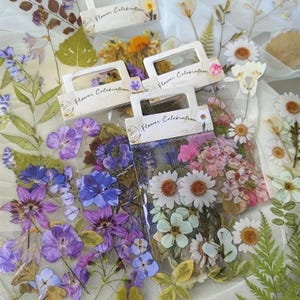 Conjunto de 40 adesivos criativos de flores e folhas para animais de estimação – adesivos de flores para scrapbook, diário, decoração de papelaria e materiais de artesanato DIY