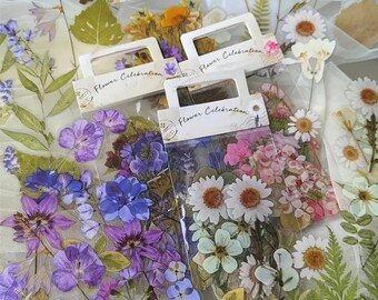 May include: Assortment of dried flowers in clear packaging, labeled "Flower Celebration." The flowers include purple, blue, pink, and white blooms, along with green foliage. Some flowers are loose, while others are in small bundles.
