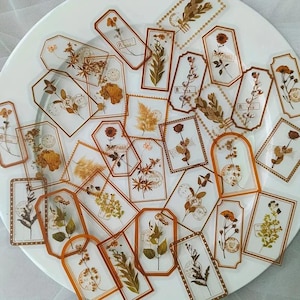 Set di 30 adesivi trasparenti in PET con fiori e foglie vintage / Foglie di flora trasparenti / Scrapbooking, Journaling, Decorazione di cancelleria