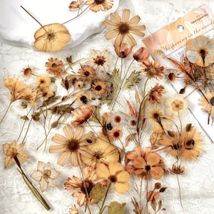 Realistische PET-sticker met geperste bloem 50 stuks – Esthetische lentesticker voor plakboek, dagboek, decoratie van briefpapier en benodigdheden voor doe-het-zelvers