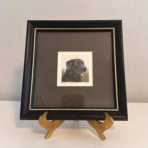 May include: Framed black and white illustration of a black Labrador Retriever dog with the text "Black Lab" and "30/1000" printed below the image.