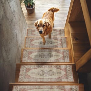 May include: A golden retriever walks down a wooden staircase with decorative stair treads. The treads feature a cream and red pattern, adding a touch of elegance to the home's interior. A potted plant is visible at the top of the stairs.