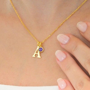 Family Birthstone Necklace with Initial as Custom Christmas Gift, Mother Gift with 100% Sterling Silver Chain, Birth Month Stone Necklace