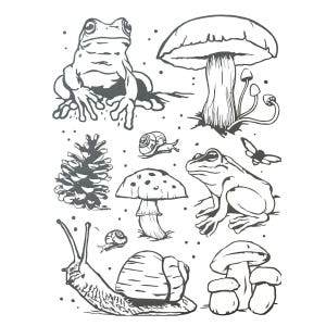 May include: Black and white illustration featuring various forest elements. The image includes detailed drawings of two frogs, mushrooms, snails, a pinecone, and a butterfly. The artwork has a whimsical, nature-inspired theme.