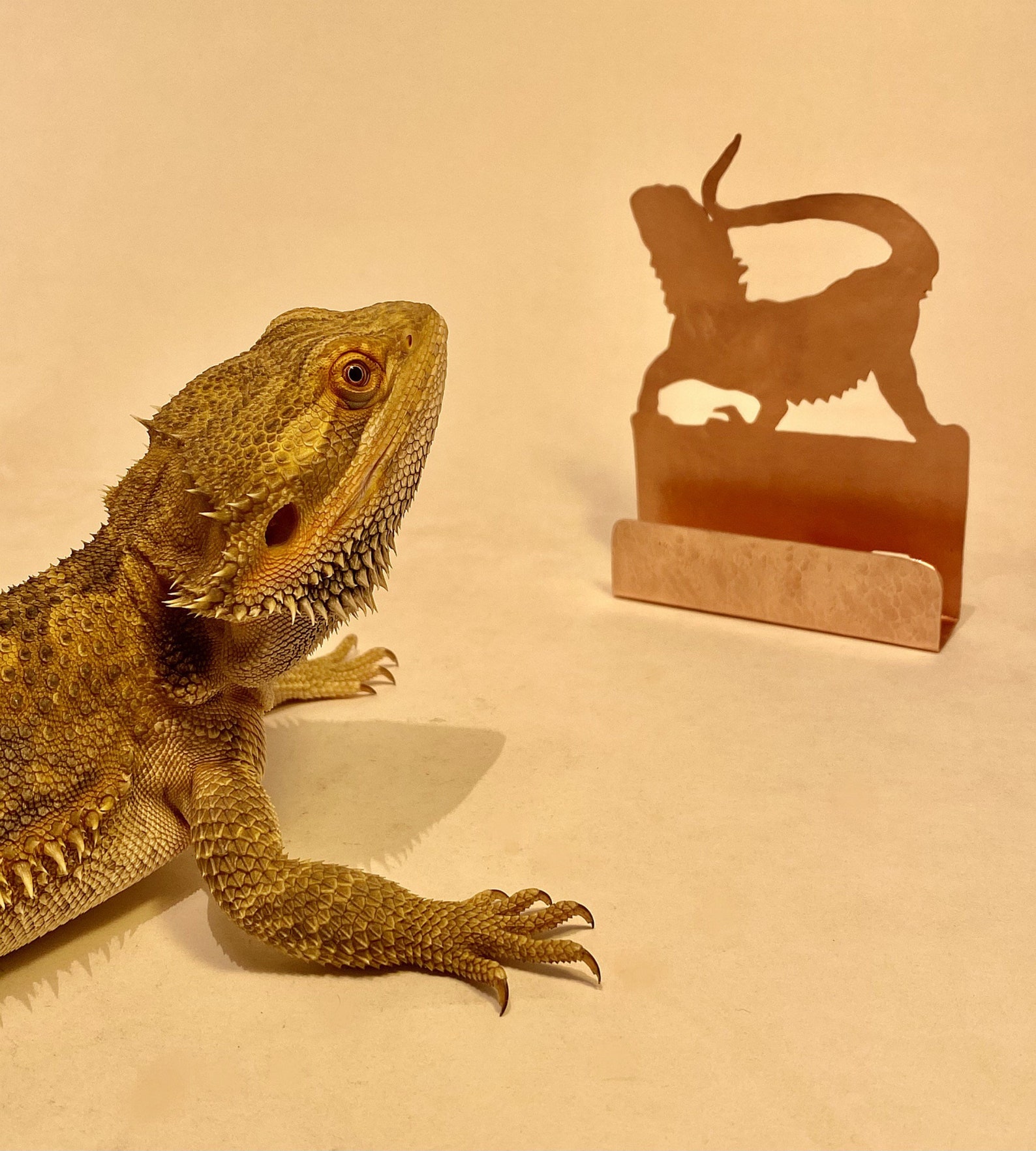 Bearded Dragon Business Card Holder Lizards Beardie Gifts Etsy