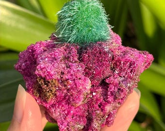 New Find Indian Dandelion Zeolite Quartz Crystal Cluster