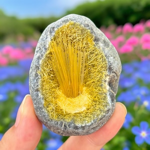 Peut inclure: Une roche grise avec une cavité remplie de cristaux jaune vif en forme d'aiguilles. Les cristaux rayonnent à partir d'un point central, créant un contraste visuel saisissant avec la surface de la pierre. L'arrière-plan présente des fleurs colorées.