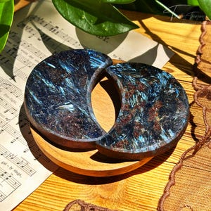 May include: Two crescent-shaped, dark blue and brown decorative objects with a shimmering, textured surface, resting on a small wooden plate. The objects are set against a background of sheet music and a wooden surface.