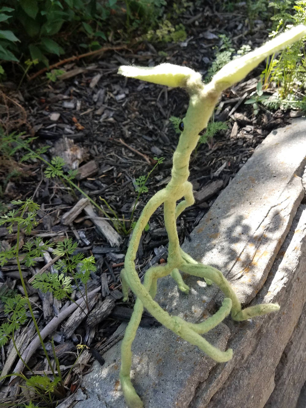 Pickett bowtruckle - Etsy 日本