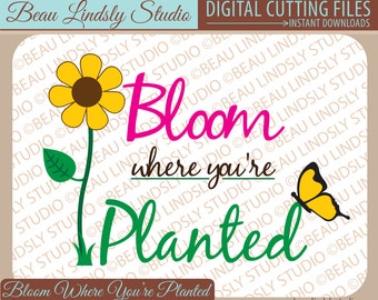 Spring SVG Cutting File: Bloom Where You're Planted -SVG File -SVG Format File -Silhouette Pattern -Cricut Project -Inspiration Quotes