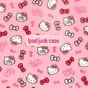 Ipad junk case