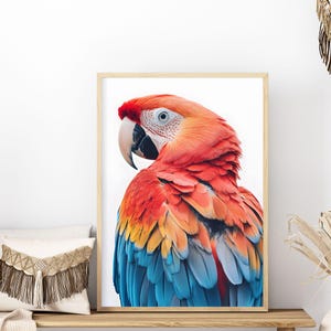 Poster Parrot Prints, Parrot Wall Art Print, Animal Prints, Printable Art, Digital Wall Art, Home Decor, Digital Download, JPG File
