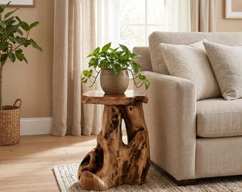 May include: A natural wood side table with an irregular, organic stump-like base and a smooth, flat top surface. A small, round, textured ceramic pot containing a green leafy plant sits centered on the table's surface.