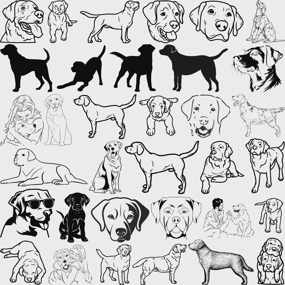 Labrador Retriever SVG Bundle, Labrador SVG Cut Files for Cricut, Dog ...