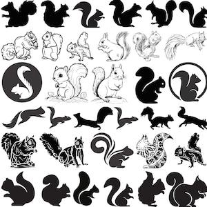 Squirrel SVG Bundle, Squirrel Clipart, Squirrel vector, Squirrel Cut File, Squirrel Silhouette, Squirrel Cricut, Squirrel dxf,