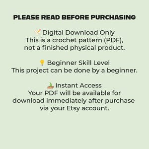 Op de afbeelding: Lichtgroene achtergrond met zwarte tekst met de tekst "LEES AUB VOOR AANKOOP". De tekst beschrijft een digitaal haakpatroon (PDF) voor beginners, direct te downloaden na aankoop via Etsy.
