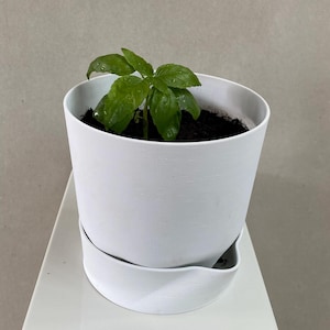 Självbevattnande kruka för krukväxter, 3D-printad blomkruka med reservoar för inomhusbruk, present till växtälskare, minimalistisk