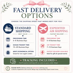 May include: An informational graphic titled FAST DELIVERY OPTIONS with a pink bow at the top. It compares Standard Shipping with a ship icon and Expedited Air Shipping with a plane icon, listing processing and transit times in business days.