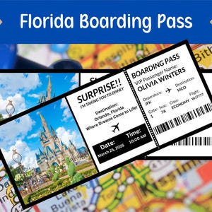 Disney Ticket Überraschung Urlaubsflugzeug Bordkarte Überraschung enthüllen, Mädchen Get away, Freizeitpark, Florida Urlaubsticket Reise Flugzeug Geschenk