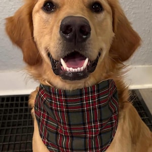 Dog bandana, Christmas plaid, Flannel, green and red, winter, traditional tie, personalized name bandana, pet accessories, dog bandana